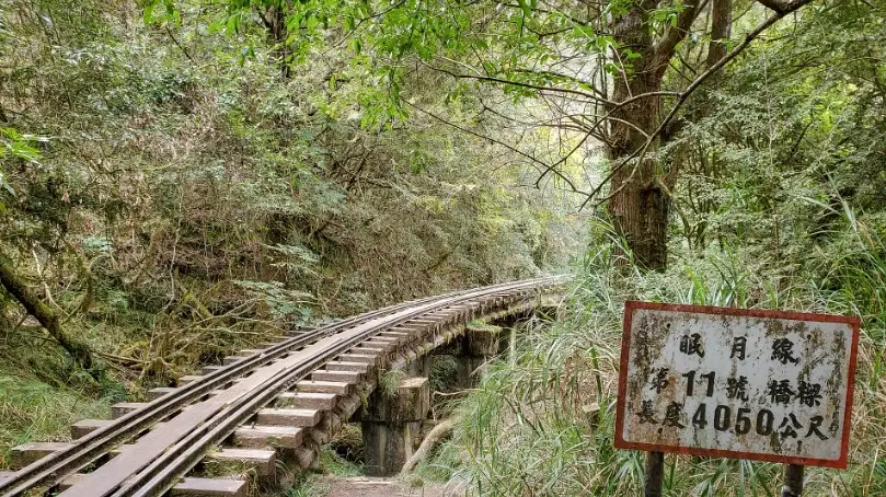 阿里山鐵道旅遊 阿里山鐵道旅遊
