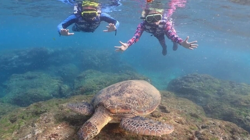 小琉球浮潛 小琉球浮潛