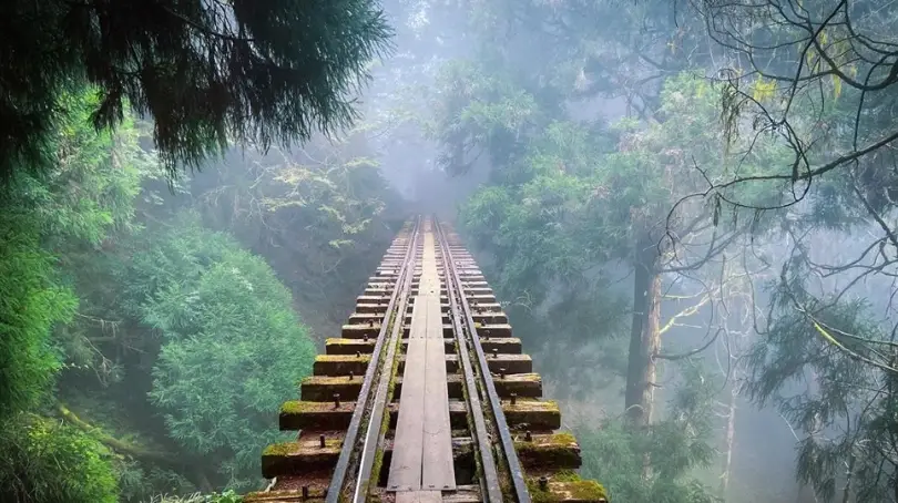 阿里山鐵道旅遊 阿里山鐵道旅遊
