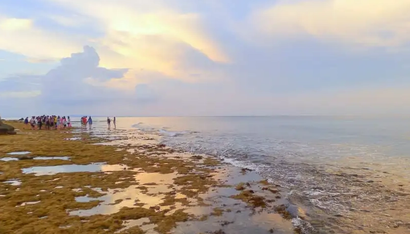 小琉球行程推薦：與海龜共游的兩天一夜玩法