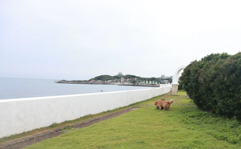 北海岸寵物友善景點：帶毛孩探索海岸風光