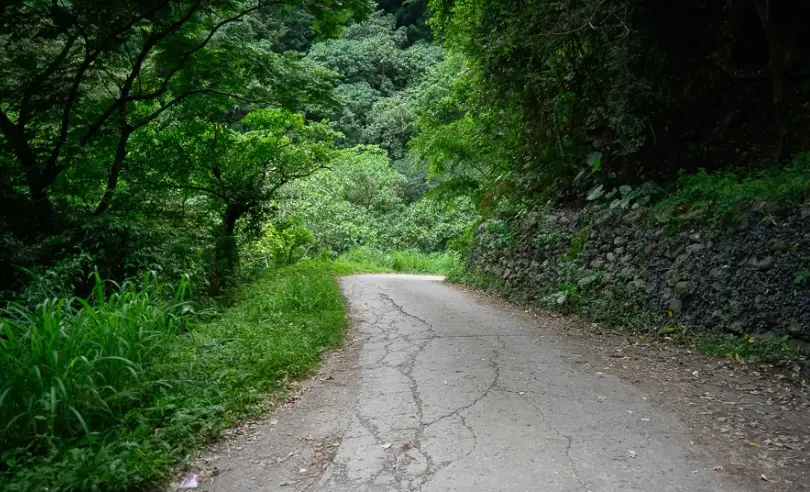 知本林道 知本林道