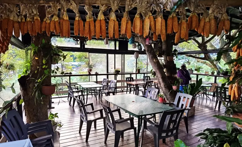 桃園秘境餐廳：避開人潮的在地美食地圖