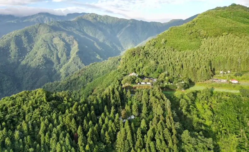 蟬說霧繞住宿評價與秘境玩法，避開人潮的森林療癒指南