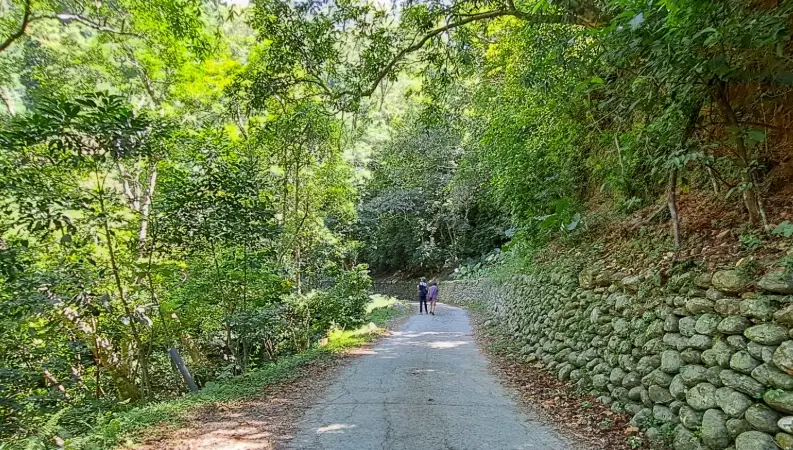 台東健行路線 台東健行路線