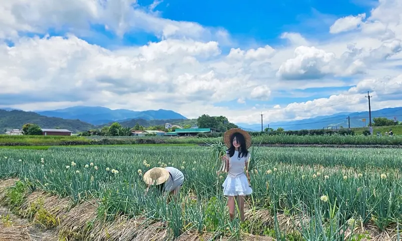 宜蘭親子牧場體驗：門票交通與必玩活動推薦