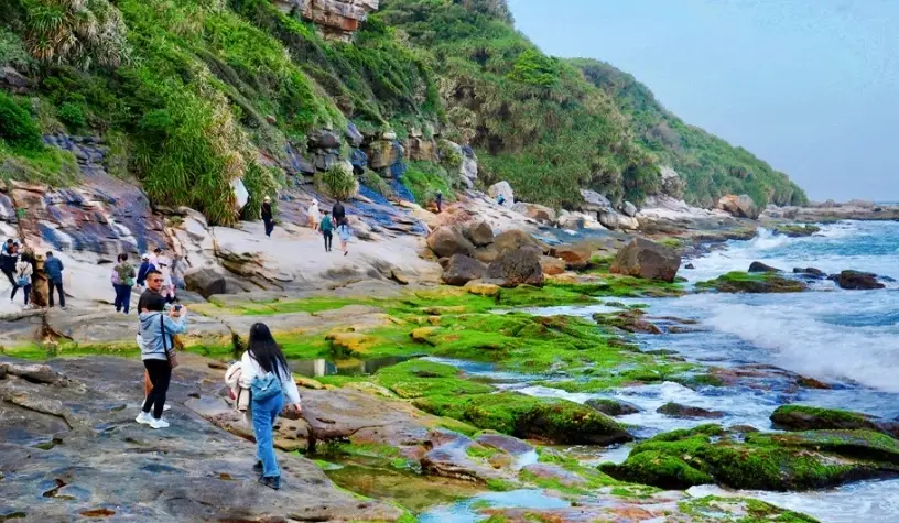 寵物友善北海岸 寵物友善北海岸