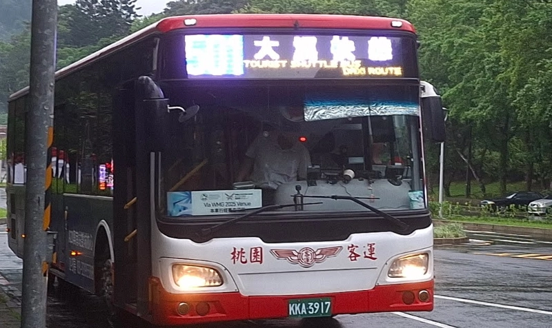 台灣油桐花 台灣油桐花
