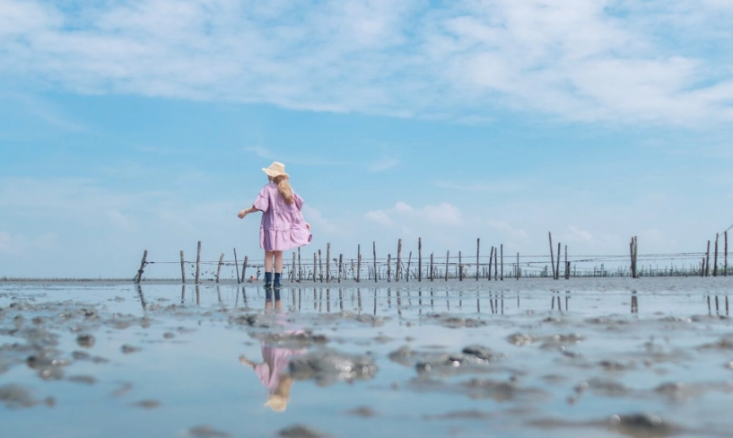 芳苑潮間帶探索指南：生態體驗、交通與潮汐時間