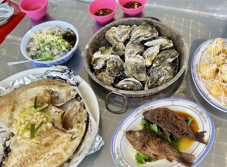 東石採蚵體驗：親手採蚵樂趣與實用指南