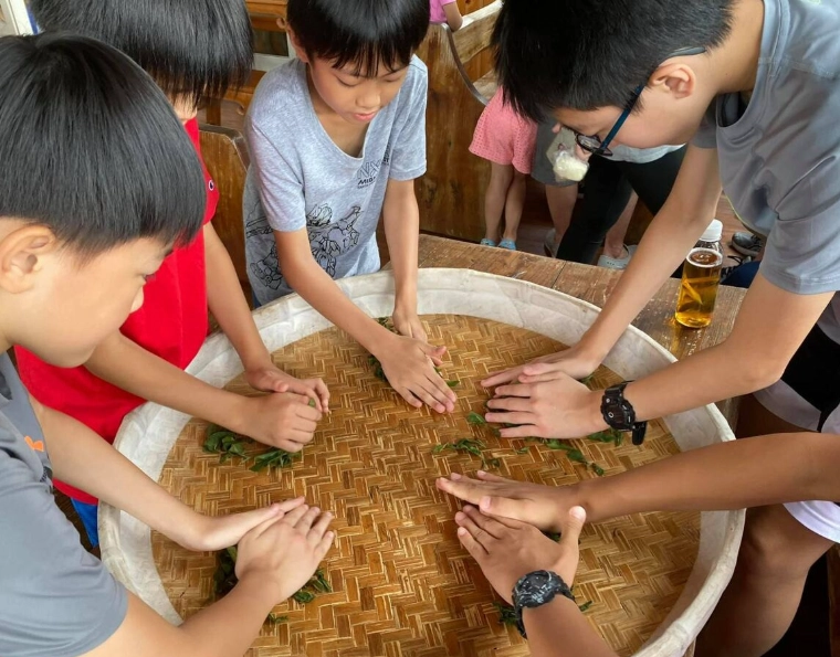 親子手作體驗全攻略：零基礎也能創造高質量陪伴時光