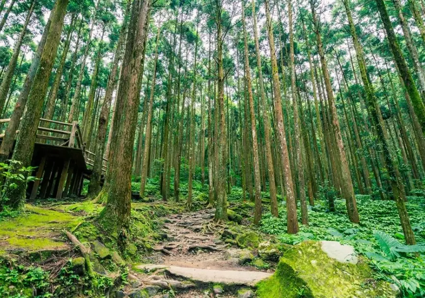 桃園玩水景點 桃園玩水景點