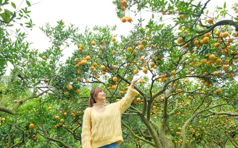 屏東農場親子遊 屏東農場親子遊