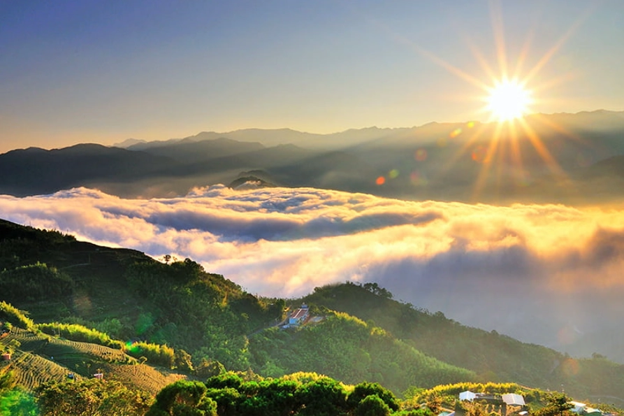 阿里山旅遊 阿里山旅遊