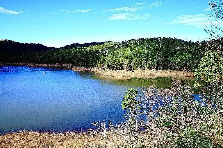 太平山國家森林遊樂區 太平山國家森林遊樂區