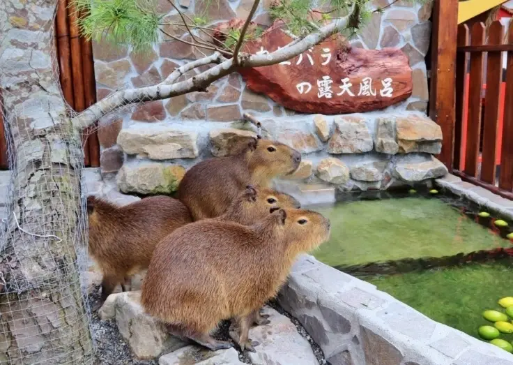 宜蘭親子景點推薦：雨天晴天都好玩，孩子放電家長輕鬆的私房清單