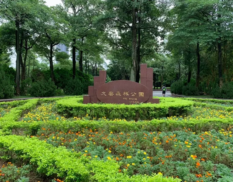 台北散心好去處：5個逃離壓力的秘密角落