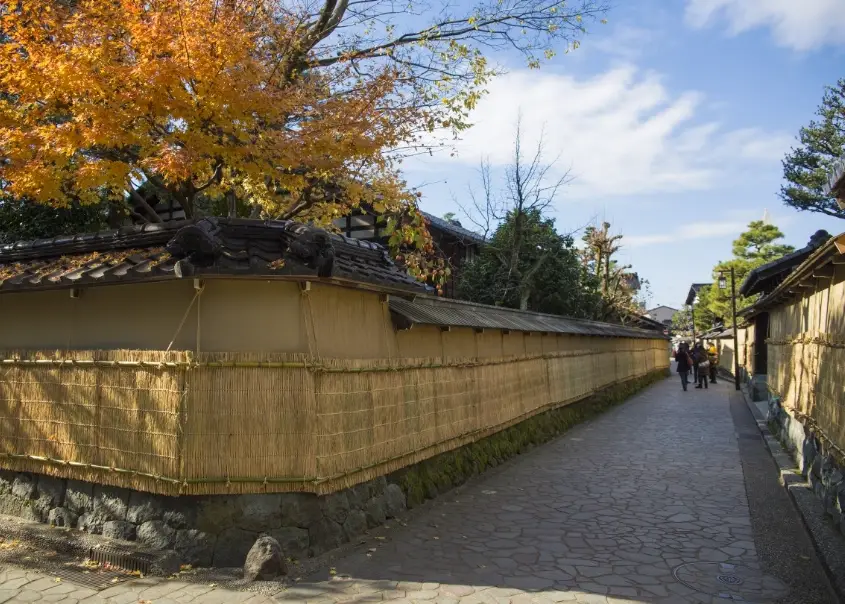 金澤旅遊 金澤旅遊
