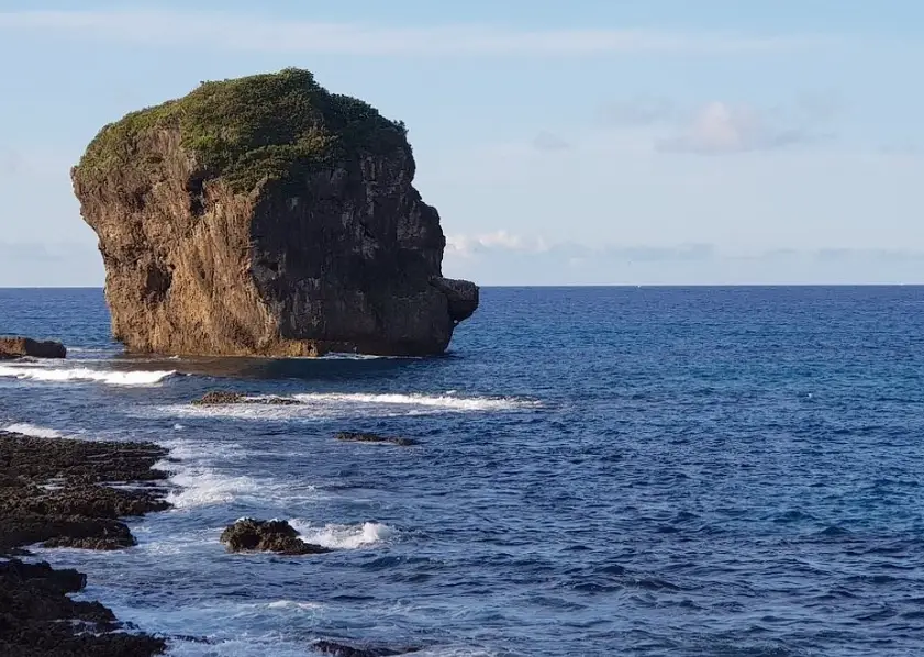 帶狗旅遊 帶狗旅遊