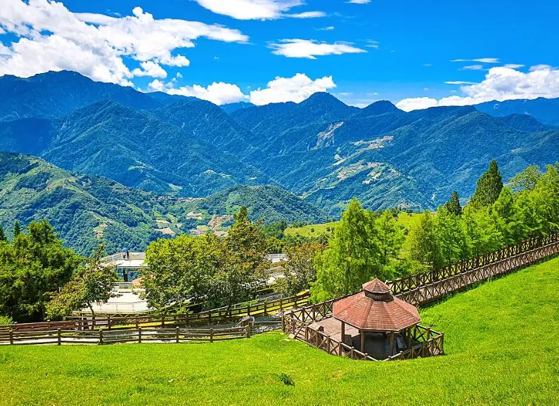 帶狗旅遊 帶狗旅遊