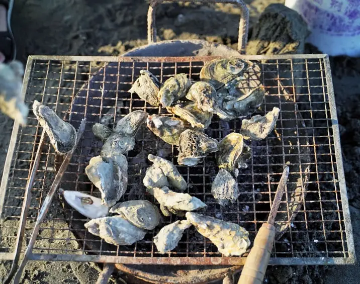 王功生態旅遊 王功生態旅遊