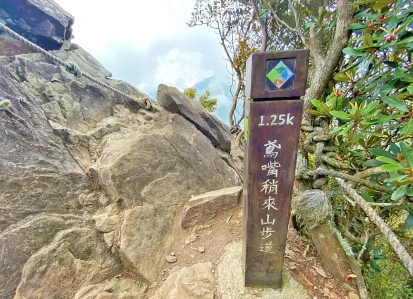 台灣 登山證 申請 台灣 登山證 申請