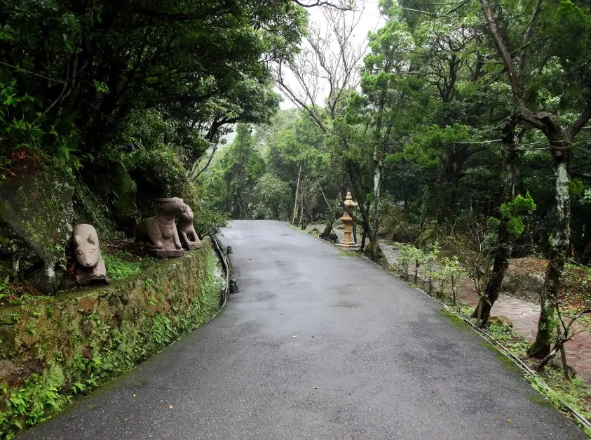 浪漫晚餐 浪漫晚餐