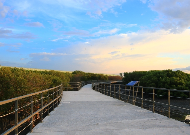 芳苑海空步道 芳苑海空步道