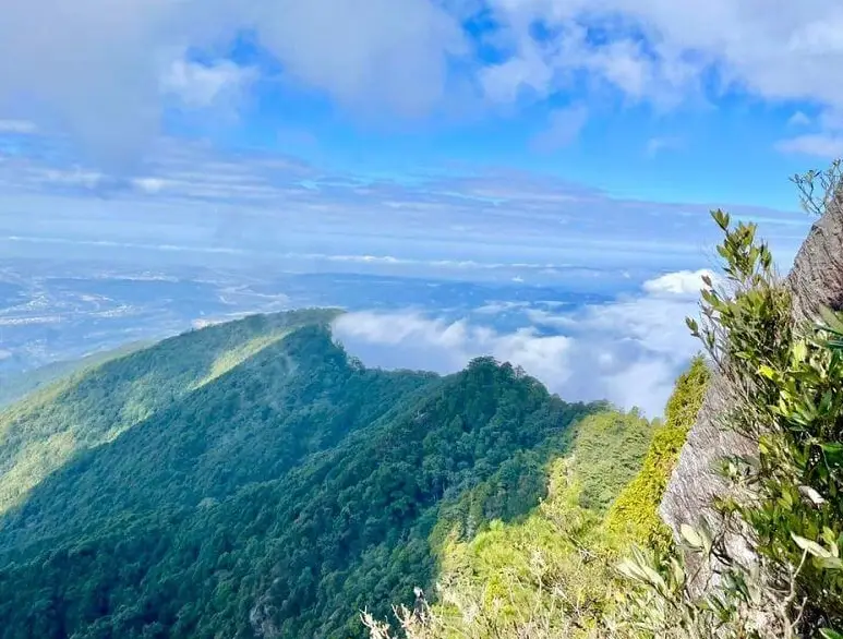 鳶嘴山入山證申請步驟與常見錯誤避免