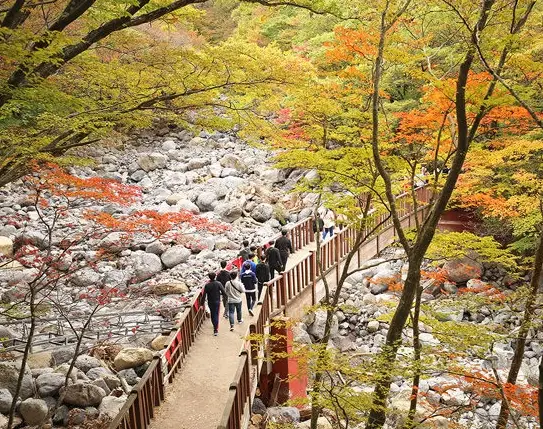 漢拿山觀音寺 漢拿山觀音寺