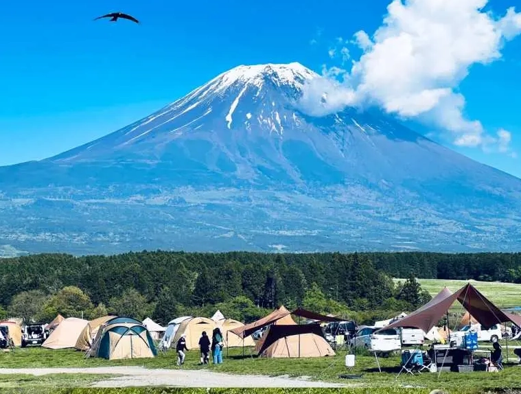 富士山露營場 富士山露營場