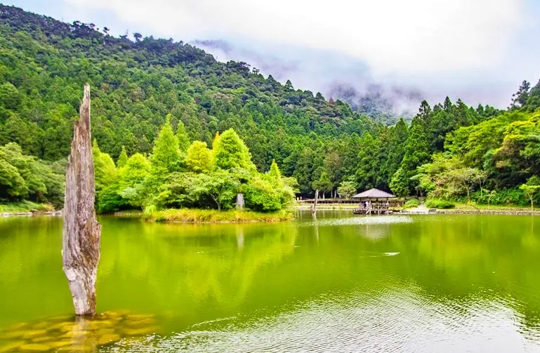 太平山一日遊 太平山一日遊