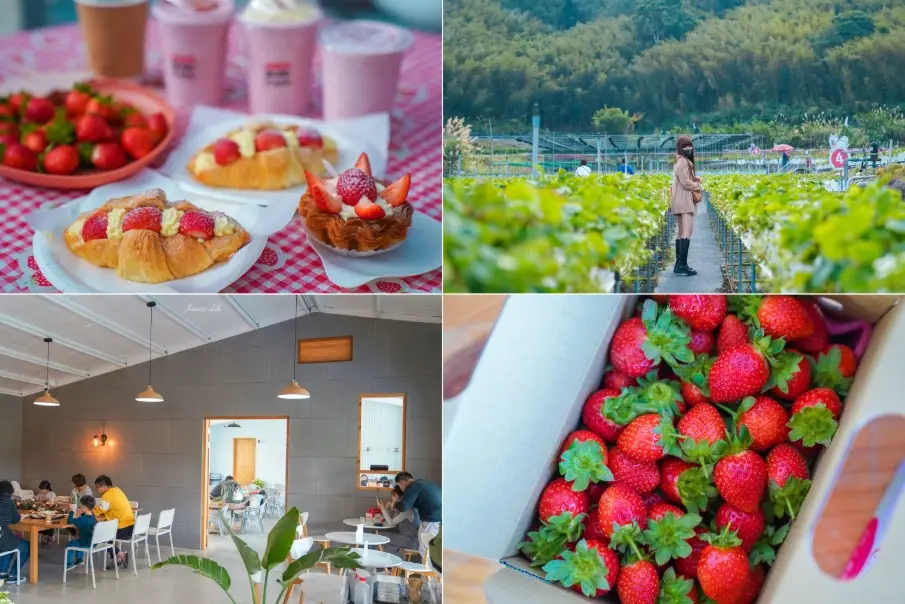 草莓主題餐廳 草莓主題餐廳