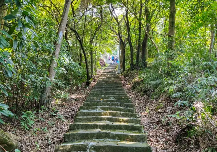 草屯旅遊景點 草屯旅遊景點