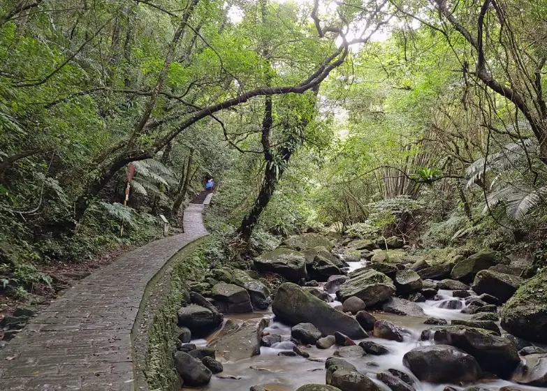 草屯旅遊景點 草屯旅遊景點