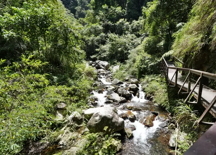 蝴蝶谷步道 蝴蝶谷步道