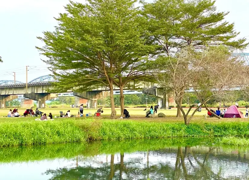 舊鐵橋濕地生態公園怎麼去？三種交通方式完整解析