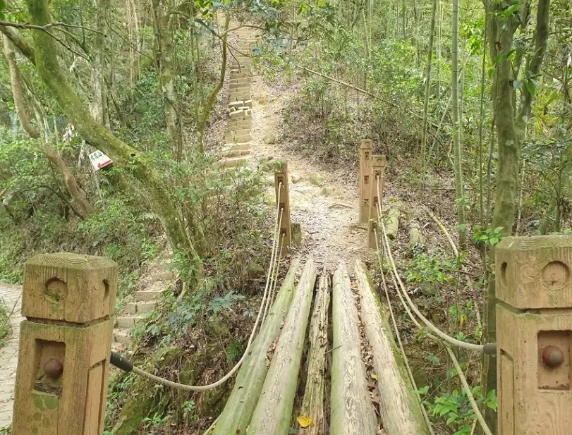 鳴鳳古道o型健行路線：親自走訪的交通與難度解析