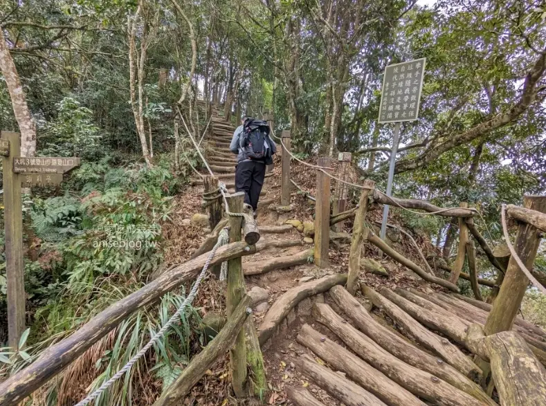 台中狗狗爬山 台中狗狗爬山