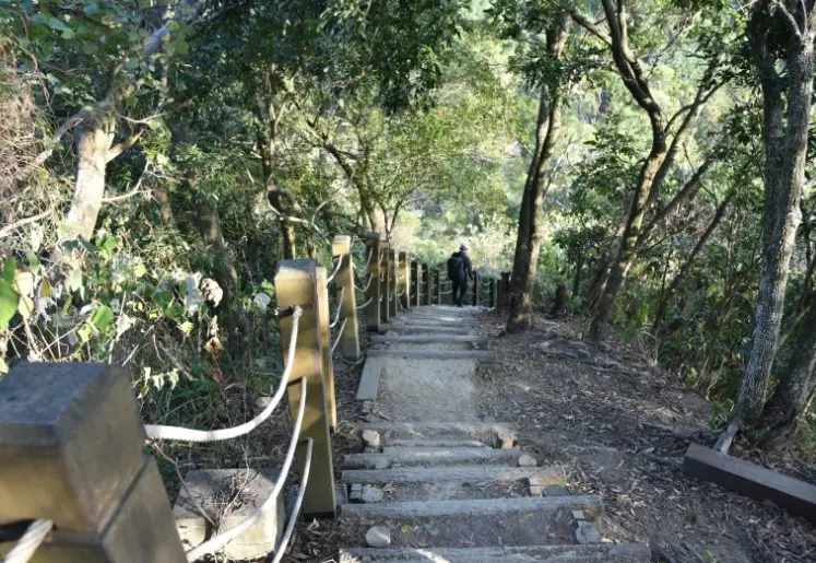 大坑步道 帶狗 大坑步道 帶狗