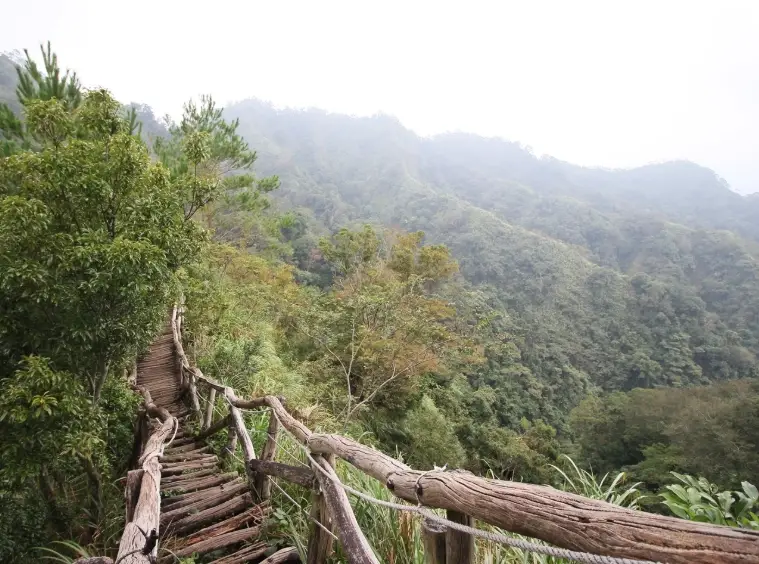 大坑步道 帶狗 大坑步道 帶狗