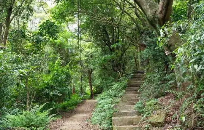 三峽老街步道 三峽老街步道