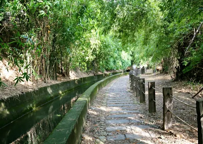 寵物友善步道 台中 寵物友善步道 台中