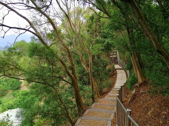 台中狗狗爬山 台中狗狗爬山