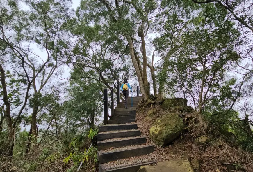 寵物友善步道 台中 寵物友善步道 台中
