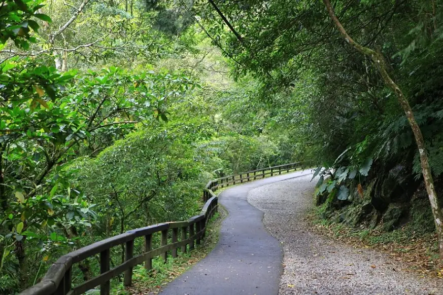 鳶山步道 鳶山步道