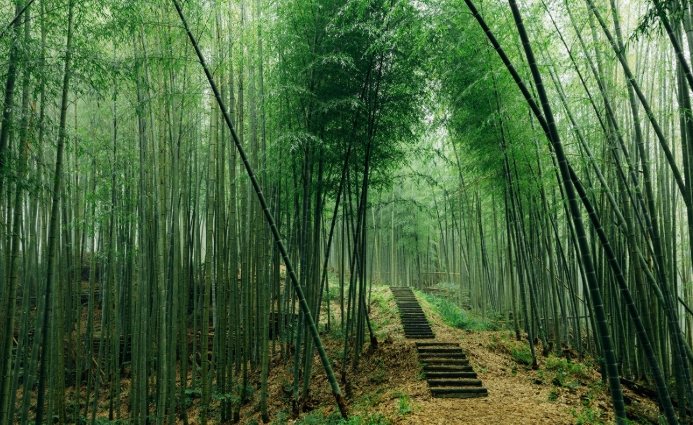 雲林農場 雲林農場