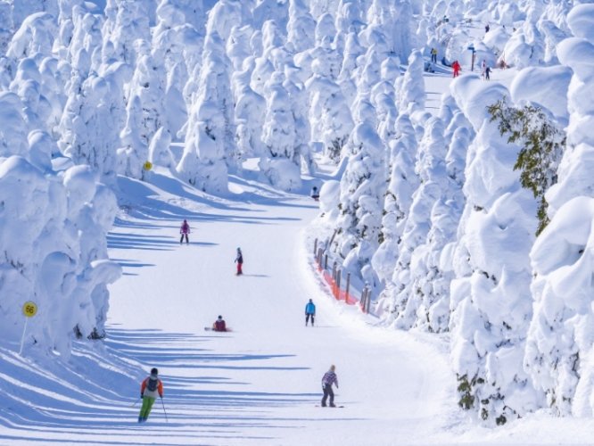 藏王溫泉滑雪場 藏王溫泉滑雪場