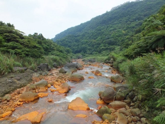 八煙野溪溫泉 八煙野溪溫泉