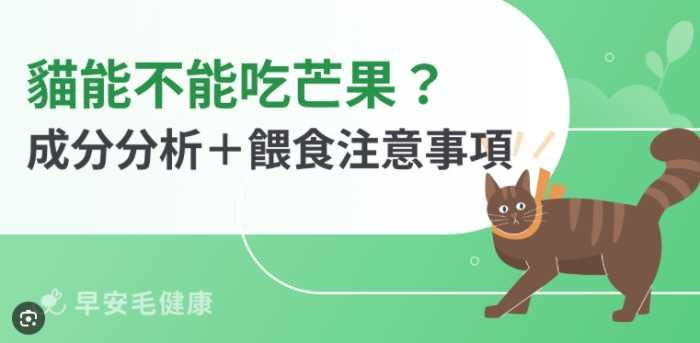 貓可以吃芒果嗎 貓可以吃芒果嗎
